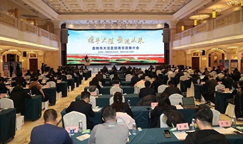 大洼区招商引资推介会成功举办，未来商机无限！你准备好抓住机遇了吗？  第1张
