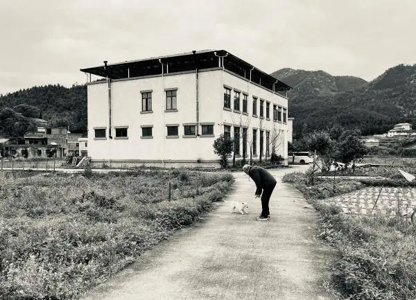 石虎最后十年重彩画展即将开幕！他为何隐于岭南乡村，却再次震撼艺术界？  第6张