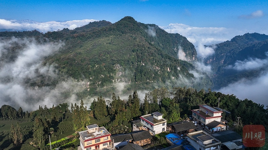深冬雅安，五彩斑斓的浪漫之旅！你准备好迎接这场视觉盛宴了吗？  第11张