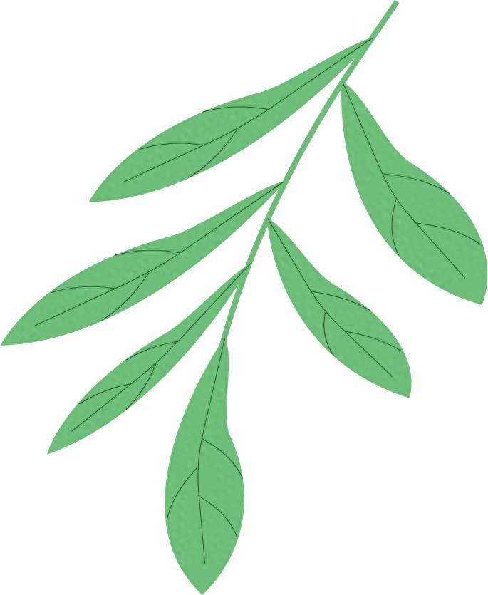 强制报告制度如何成为未成年人的保护伞？岱岳区检察院揭秘