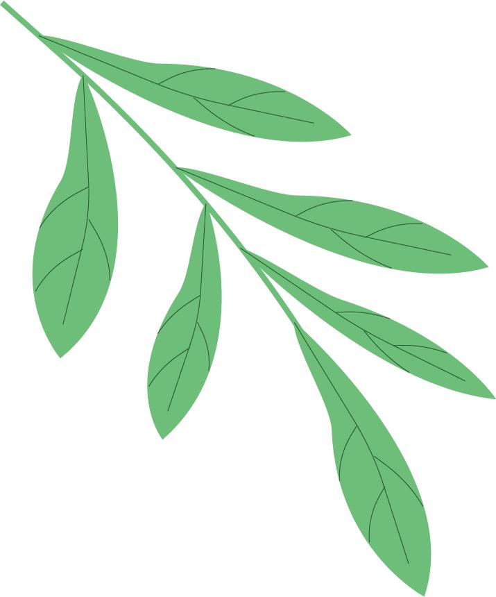 强制报告制度如何成为未成年人的保护伞？岱岳区检察院揭秘  第2张