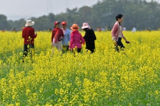 广州气温飙升，3.2℃的涨幅预示着什么？入夏纪录即将被打破？