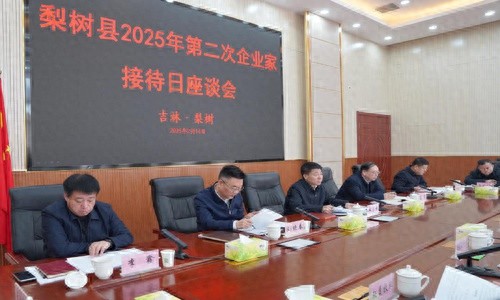 梨树县企业家座谈会：如何抓住新一轮国家政策红利，助力高质量发展？