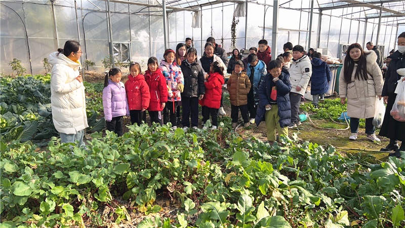 亲子农耕乐趣多，你家孩子体验过吗？快来加入这场自然之旅  第2张
