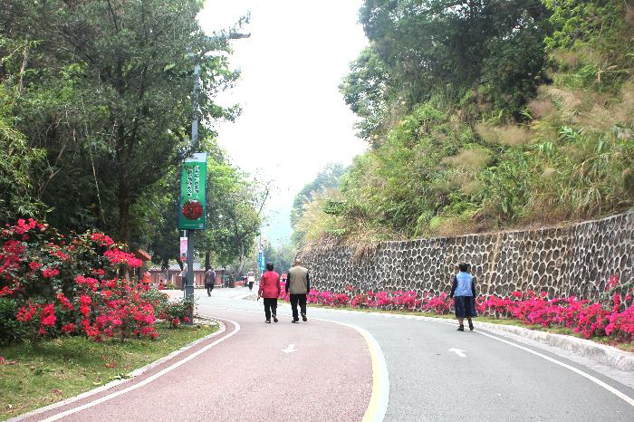 东湖环湖路变身梦幻花海，你准备好迎接这场视觉盛宴了吗？  第2张