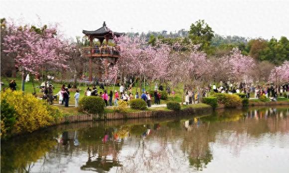 武汉本周气温飙升，最高可达30℃，你准备好了吗？