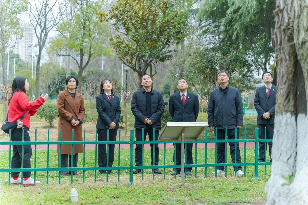 古树名木竟有如此多不为人知的秘密！你了解多少？  第2张