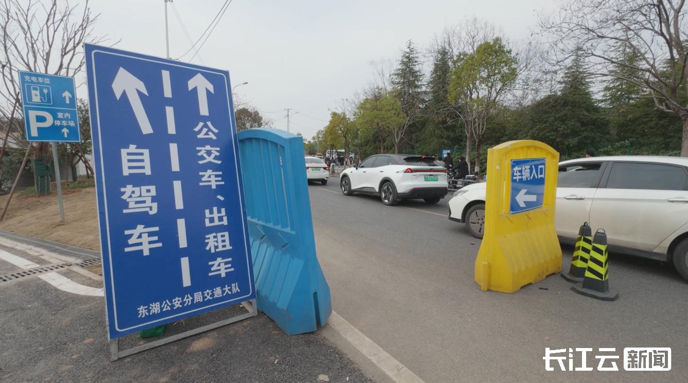 武汉东湖樱花园如何应对赏樱高峰？7249个停车位等你来  第2张