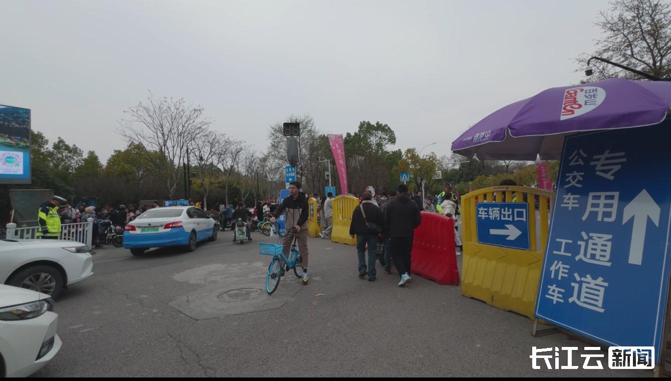 武汉东湖樱花园如何应对赏樱高峰？7249个停车位等你来  第4张