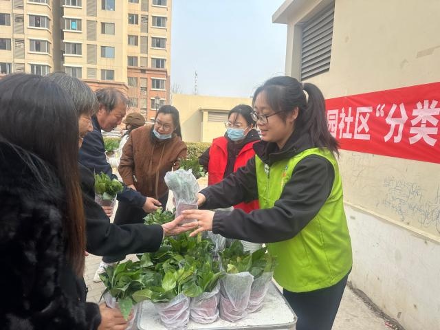 辛庄镇植树节活动：小手拉大手，共植一片绿！你参与了吗？  第2张