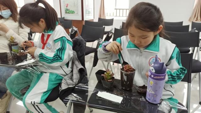 辛庄镇植树节活动：小手拉大手，共植一片绿！你参与了吗？  第4张
