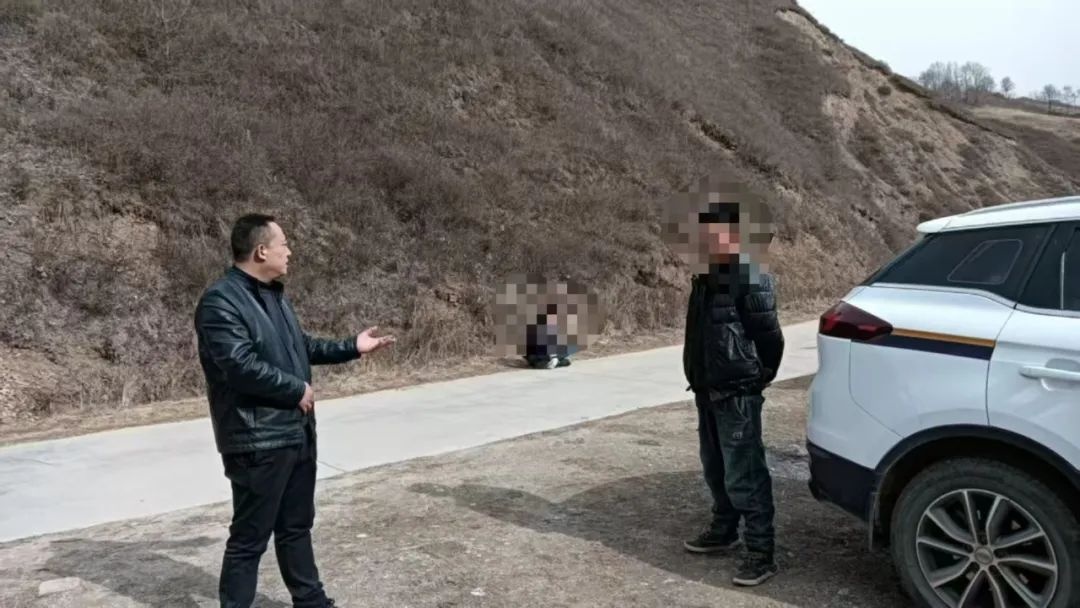 无主牦牛肆虐农田，礼县固城镇如何一线化解纠纷，守护群众利益？  第2张