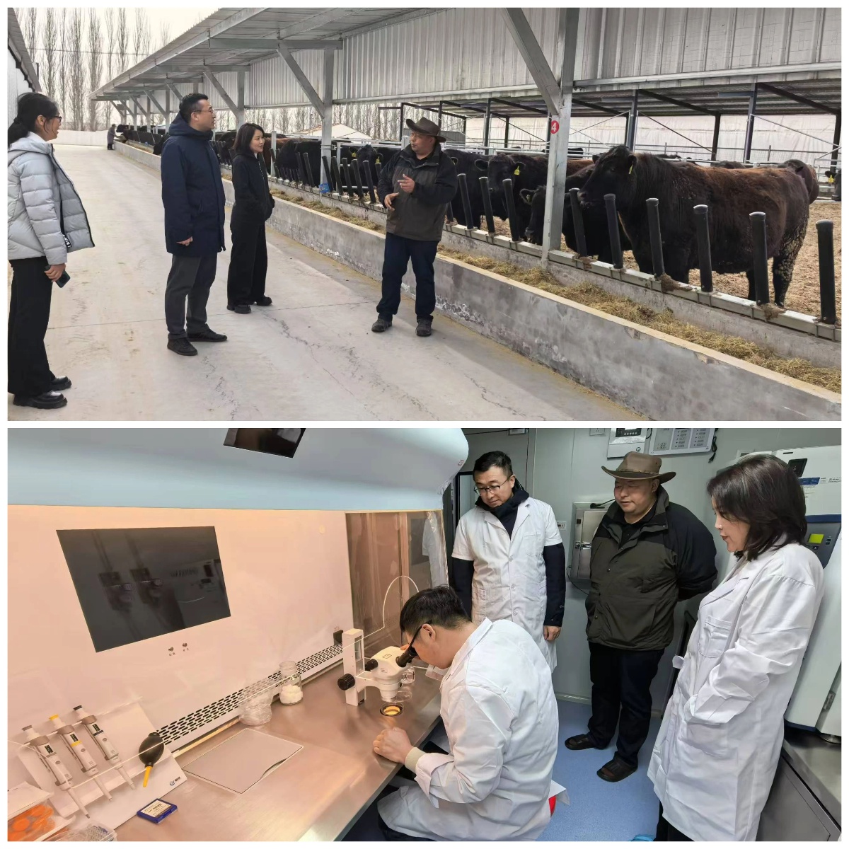 市科技局如何通过精准指导服务，提升12个重大科技计划项目的实施效能？  第5张