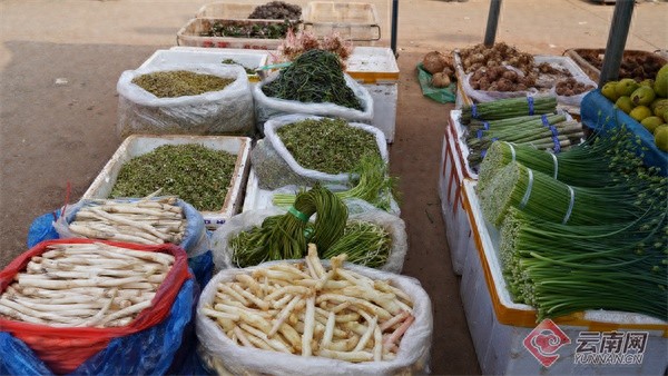 昆明春菜盛宴：80余种野菜唤醒你的味蕾，你尝过几种？
