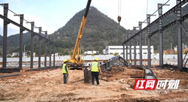 新化竹产业迎来巨变！18万吨楠竹绿色循环项目即将投产，你准备好了吗？  第1张