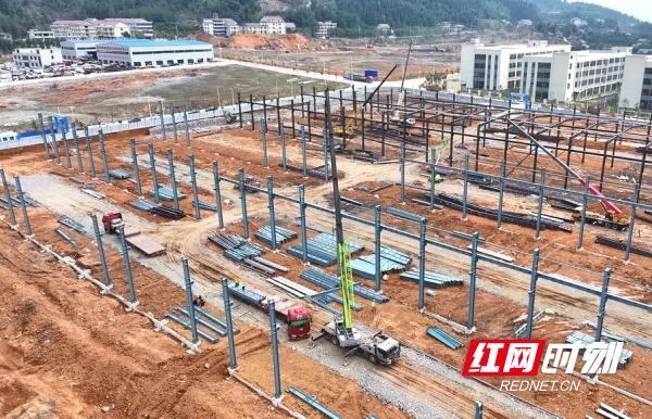 新化竹产业迎来巨变！18万吨楠竹绿色循环项目即将投产，你准备好了吗？  第2张