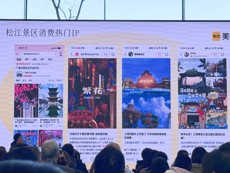 2025年松江区文旅商体展大揭秘！这些新IP和消费场景将如何改变你的生活？  第3张