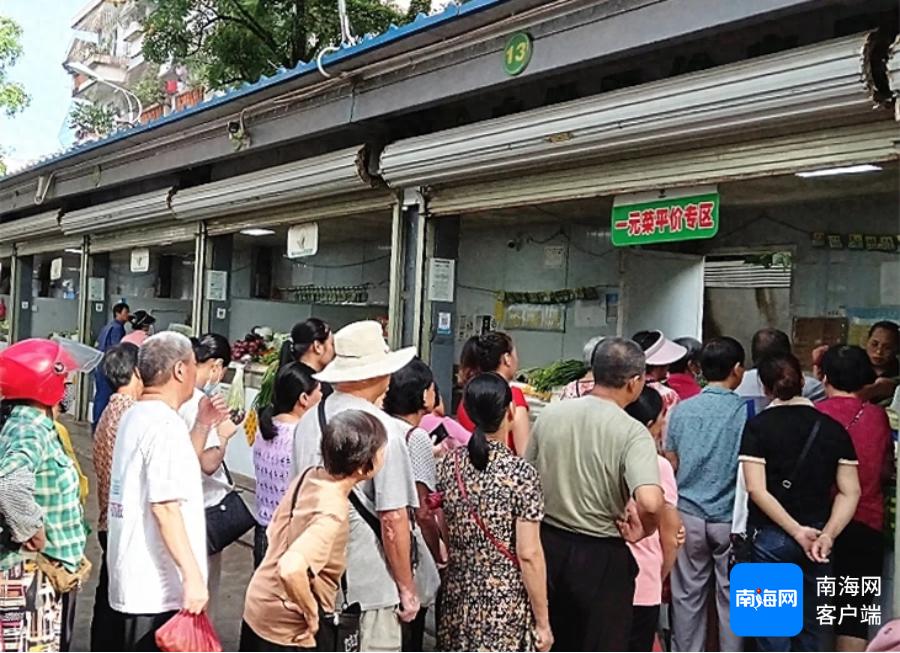 每斤1元！白沙市民为何争相排队购买平价蔬菜？  第1张