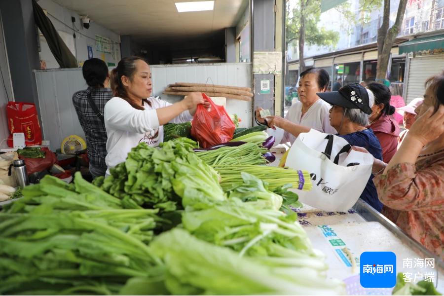 每斤1元！白沙市民为何争相排队购买平价蔬菜？  第2张
