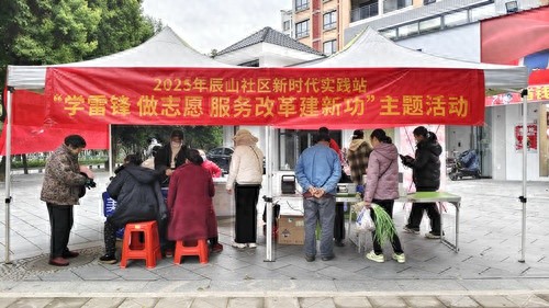 辰山社区学雷锋活动大揭秘！你参与了吗？