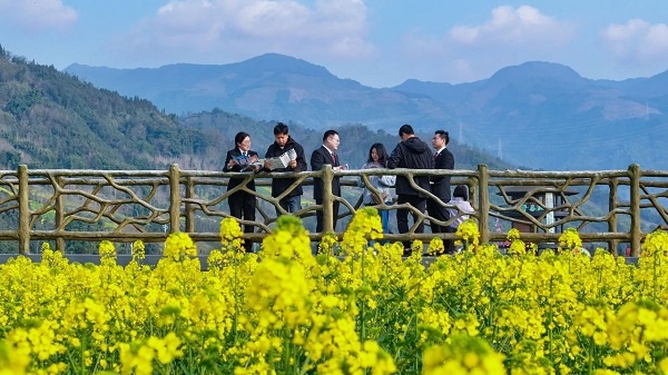 油菜花节上，法院干警如何用创新普法赢得群众连连称赞？  第3张