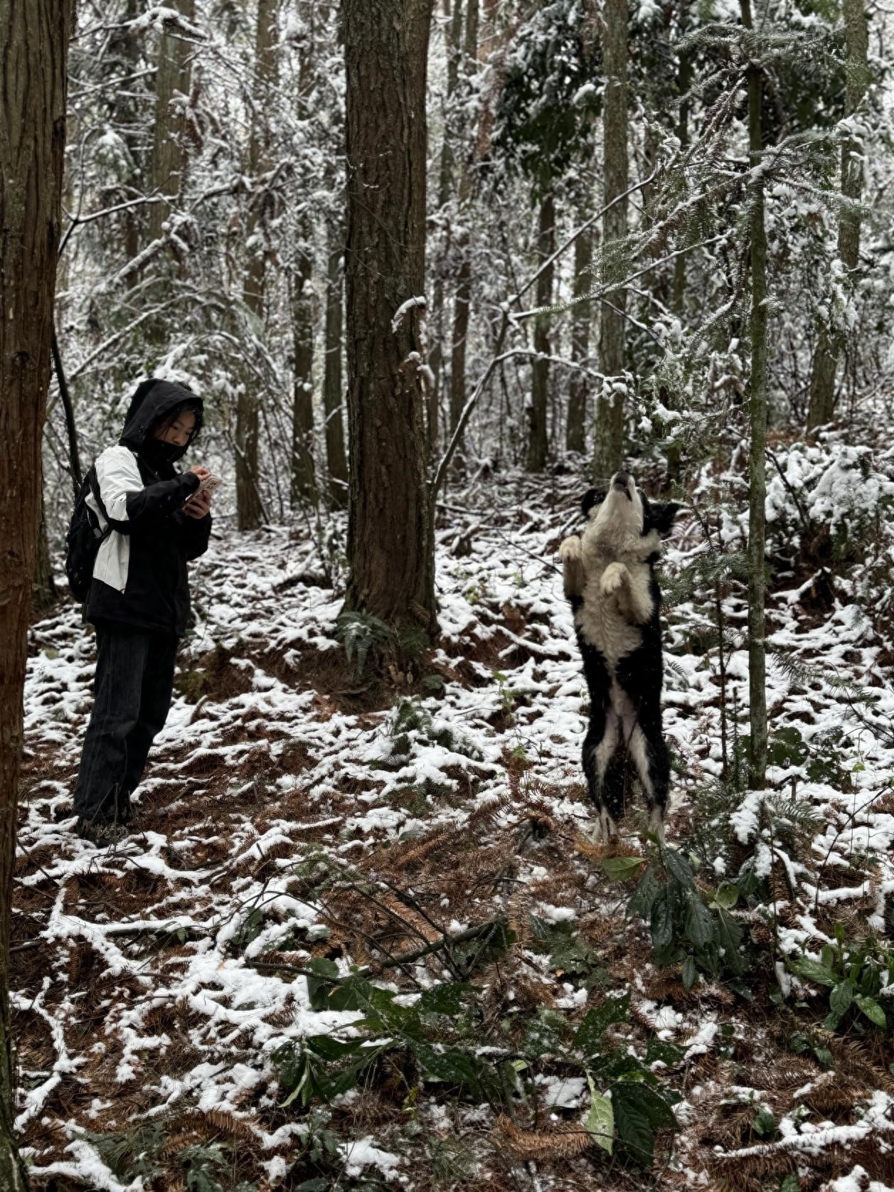 00后女孩辞去白领工作，竟与大山、树木、花草为伴！她的选择震撼了所有人