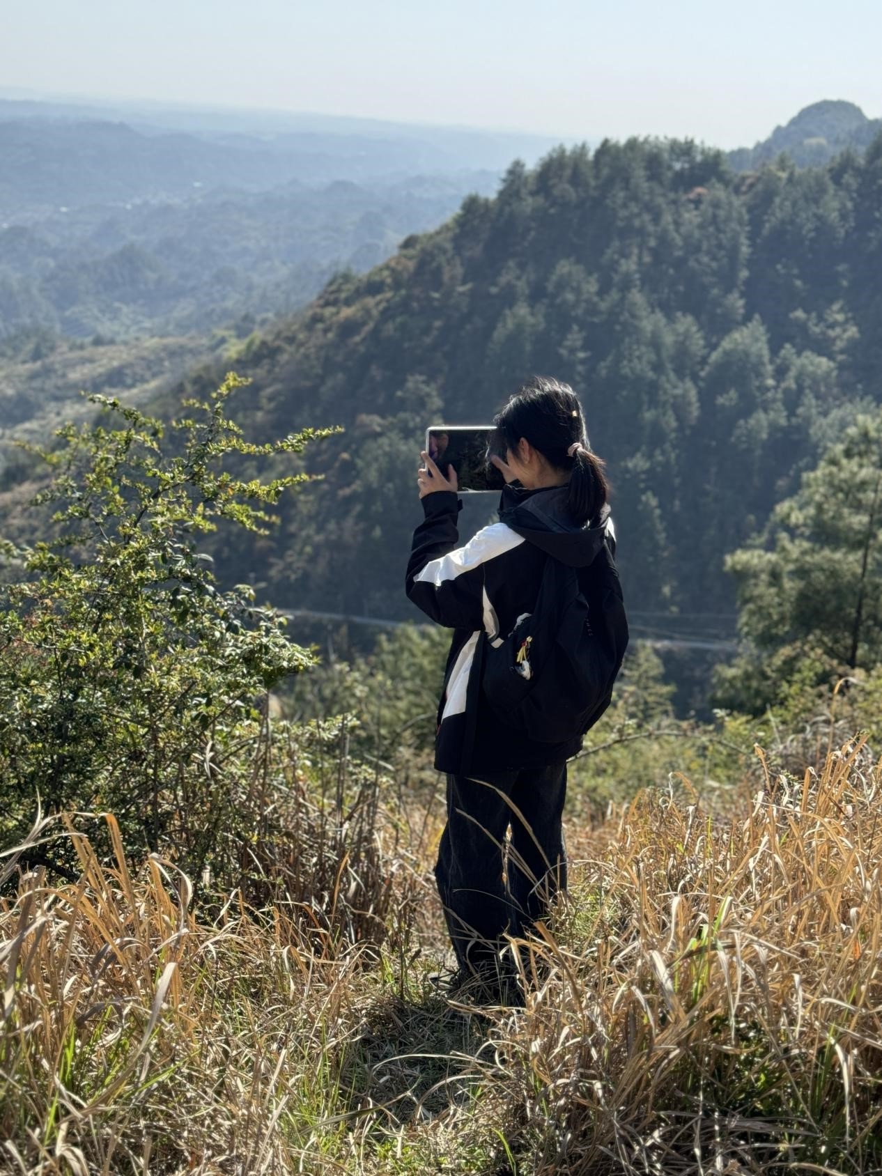 00后女孩辞去白领工作，竟与大山、树木、花草为伴！她的选择震撼了所有人  第2张