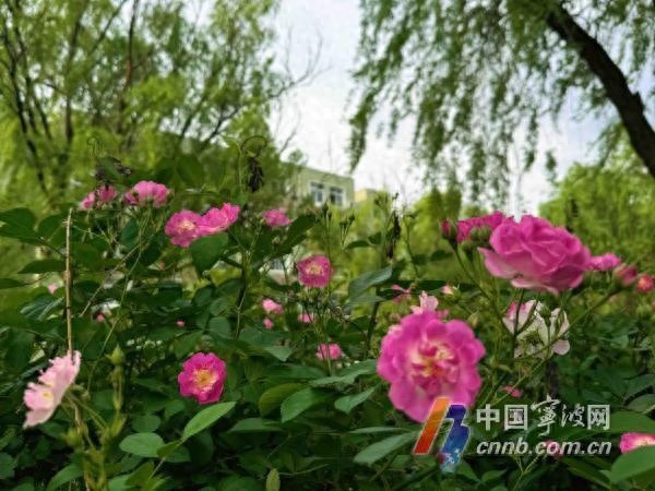 春姑娘任性穿越！31℃高温秒变22℃，你的衣柜准备好了吗？