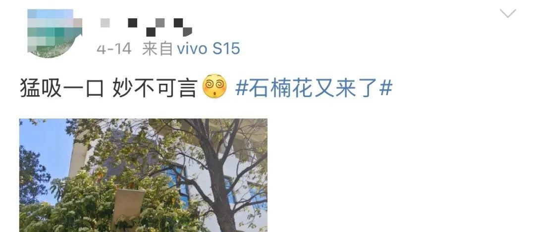 外表小清新的石楠花为何味道如此难闻？三种物质作用揭开真相