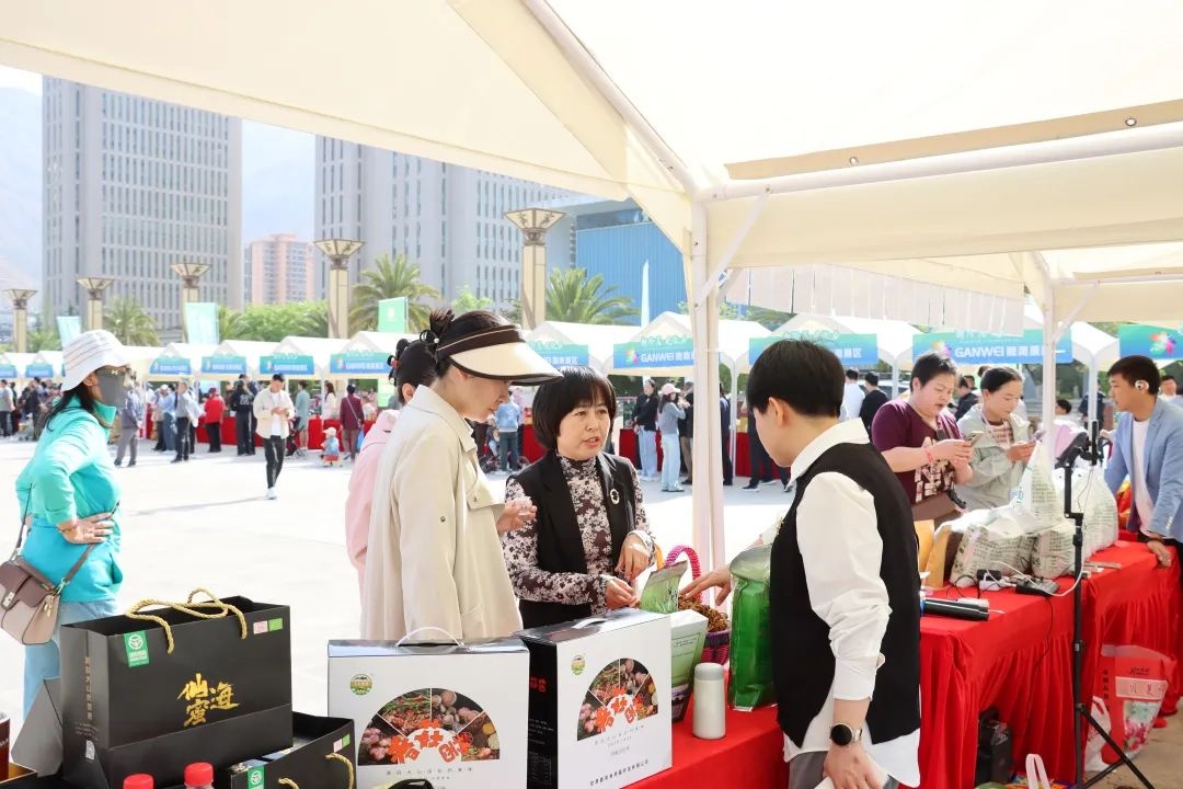 陇南为何成为短视频达人的新宠？100余名新阶层人士的考察告诉你答案  第3张