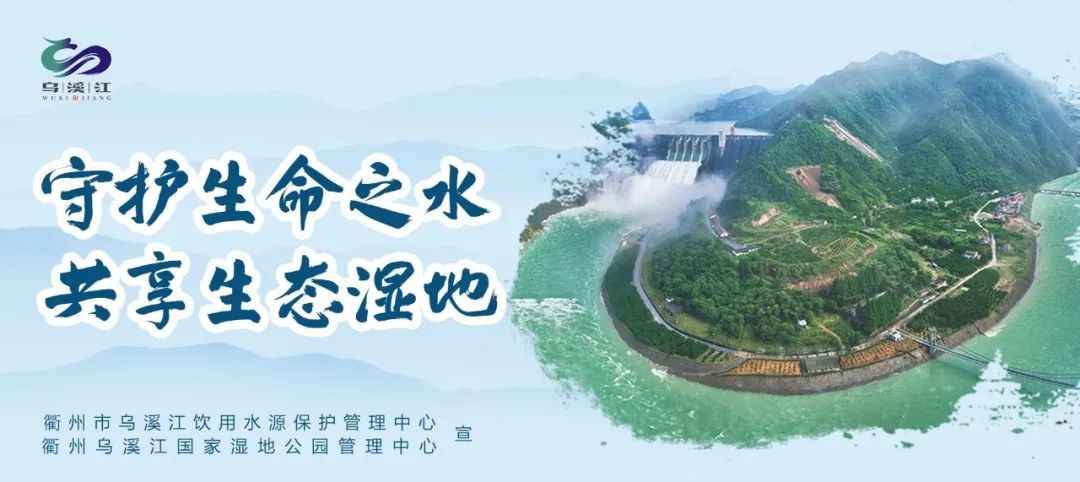 投资29.6亿!衢州市罗樟源水库获批,能将防洪能力提升至50年,牛在哪? 第3张 投资29.6亿!衢州市罗樟源水库获批,能将防洪能力提升至50年,牛在哪? 第3张