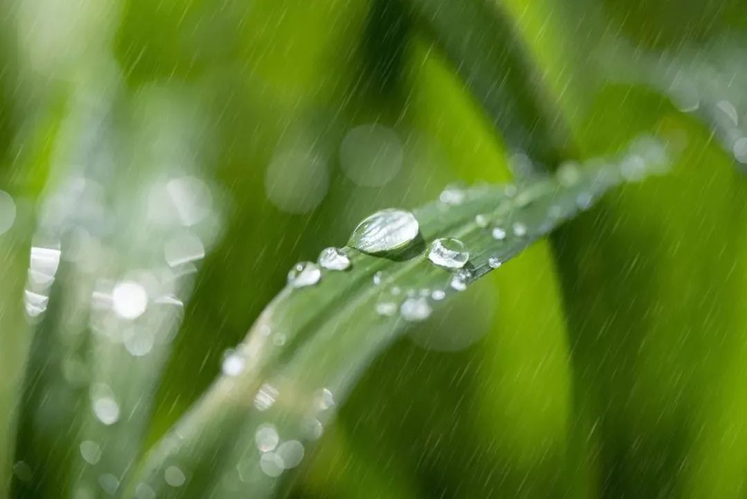 上虞人注意！持续晴好结束，周末降温降雨来袭，最高气温要冲34℃？  第3张