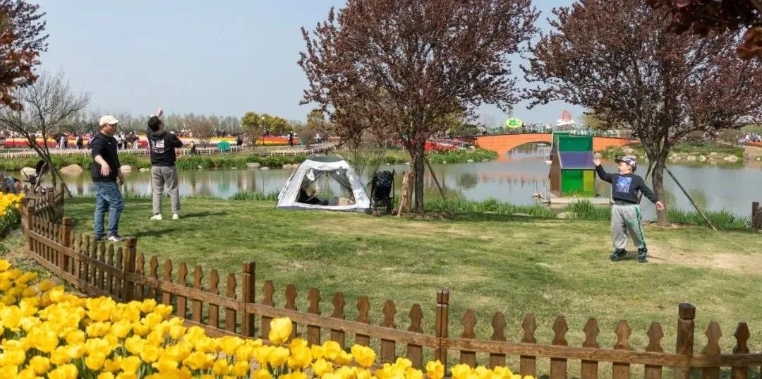 盐城又增23处共享绿地！81处绿地等你来野餐露营，你还在等什么？  第2张