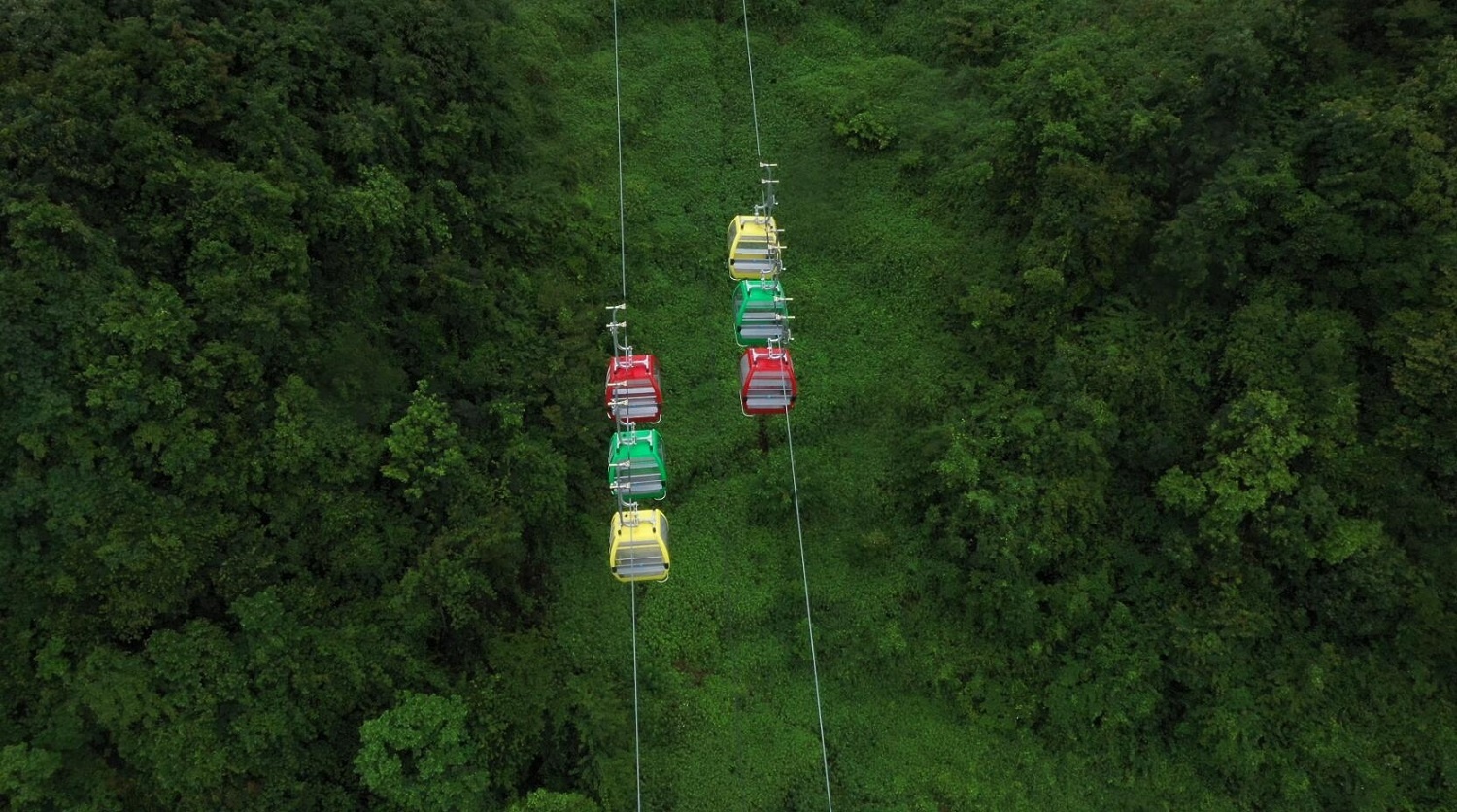 云南马白镇：1.2万亩原始森林藏着多少不为人知的秘密？  第3张