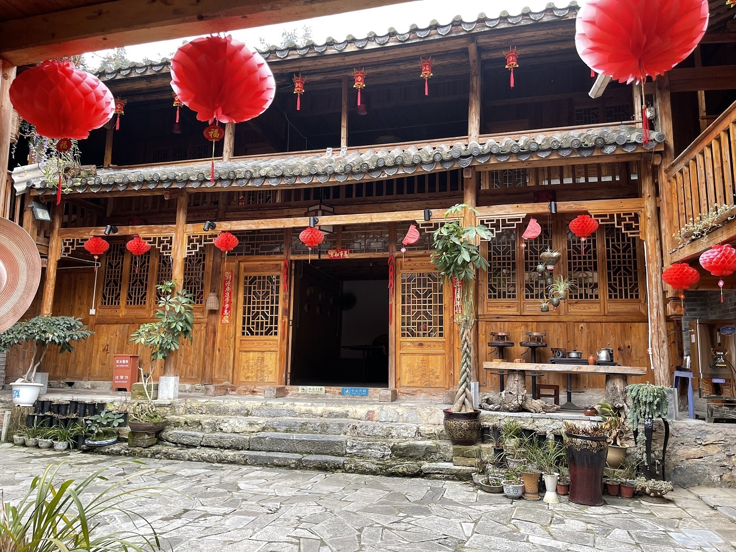 云南马白镇：1.2万亩原始森林藏着多少不为人知的秘密？  第6张