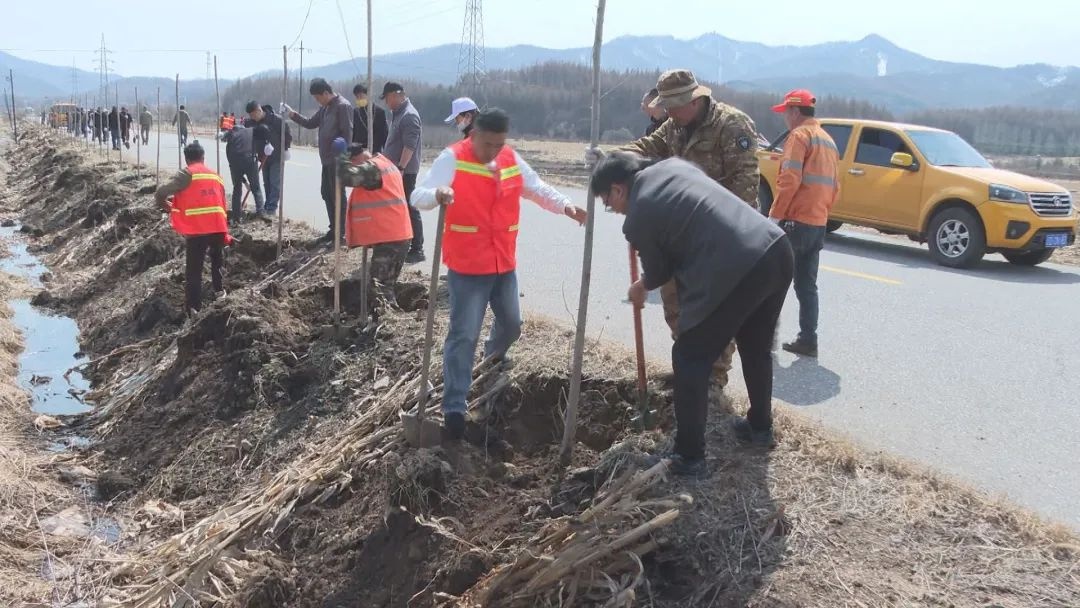 500多名干部职工齐上阵，2500株树木安家落户！清原的春天因他们更美丽  第2张