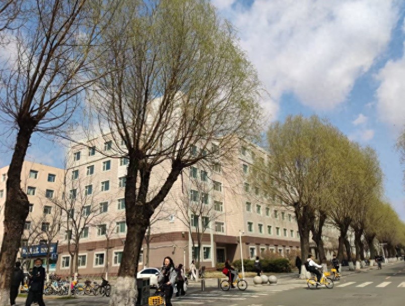 吉林春天为何迟迟不来？气温异常偏高却仍难入春  第1张
