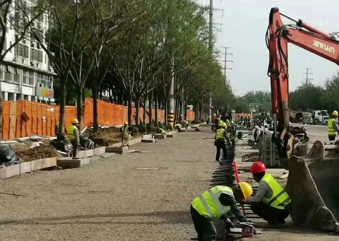 哇！我县洪武大道改造热火朝天，道路升级究竟会给百姓带来多少便利？
