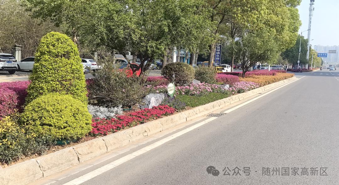 随州高新区如何让编钟大道焕然一新？3.15公里改造工程惊艳亮相  第3张