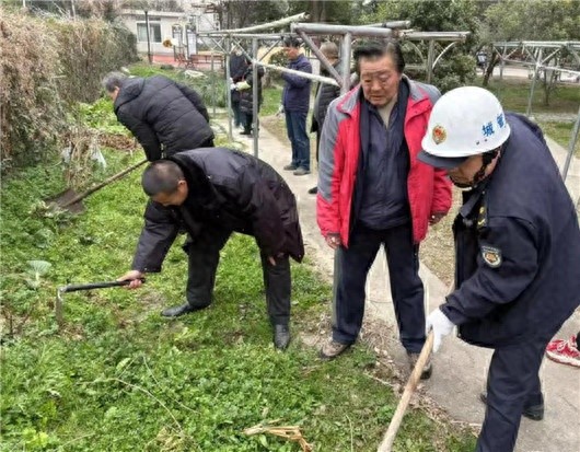 公共绿化带变私家菜园？江湾镇街道重拳出击整治乱象