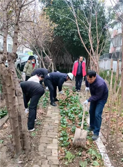公共绿化带变私家菜园？江湾镇街道重拳出击整治乱象  第3张