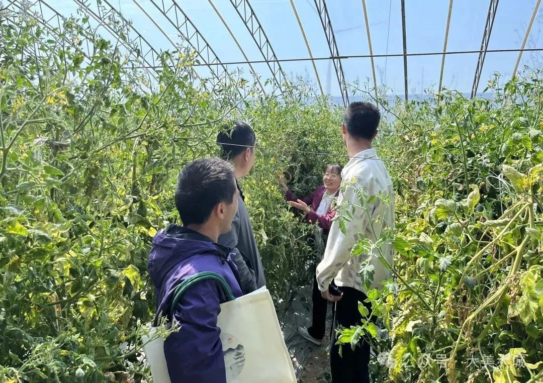 大城县残联特色种植培训班开班啦！残疾人如何通过一技之长实现自我发展？  第2张