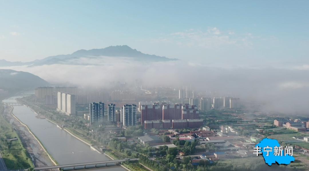丰宁生态奇迹！青头潜鸭为何纷纷选择这里栖息？  第5张