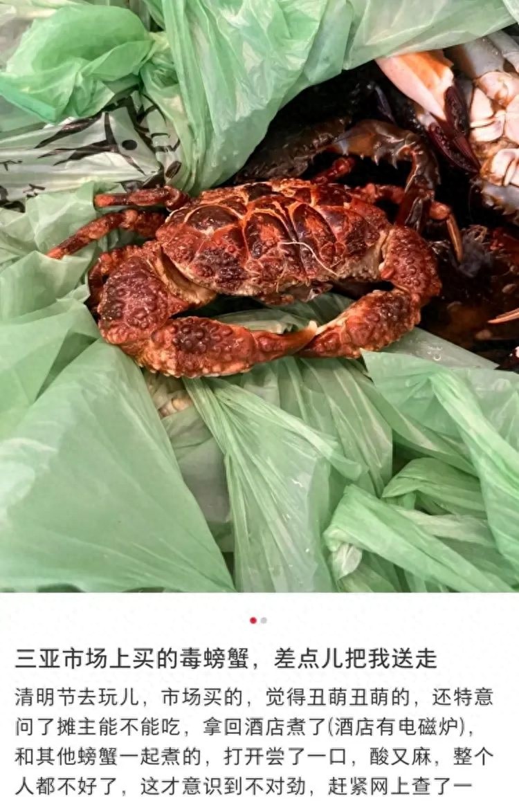 三亚海鲜市场惊现毒螃蟹！你买的螃蟹安全吗？