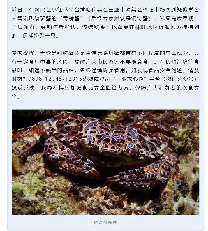 三亚海鲜市场惊现毒螃蟹！你买的螃蟹安全吗？  第2张