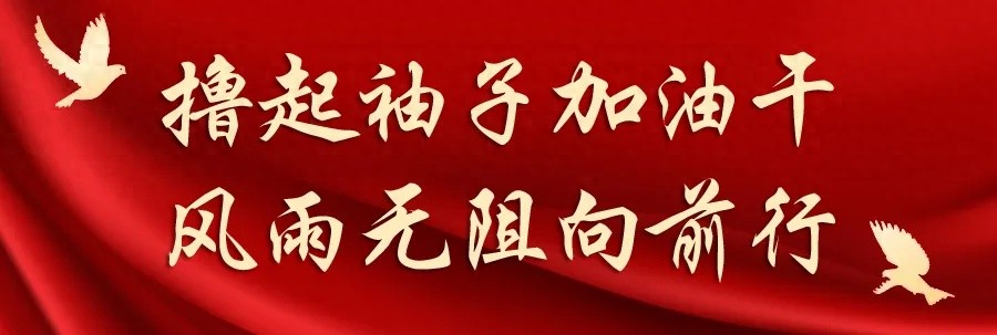 2025年药械化监管大升级！廊坊市这场培训为何如此重要？