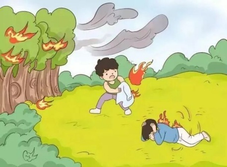 秋季森林草原火灾高发！这些防灭火知识你知道吗？  第11张