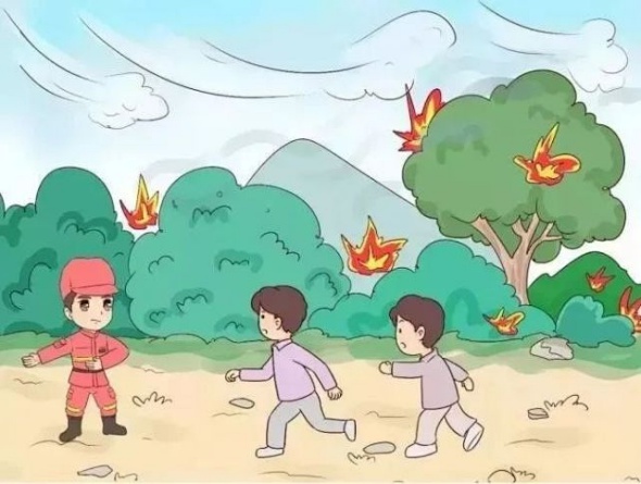 秋季森林草原火灾高发！这些防灭火知识你知道吗？  第9张