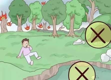 秋季森林草原火灾高发！这些防灭火知识你知道吗？  第10张