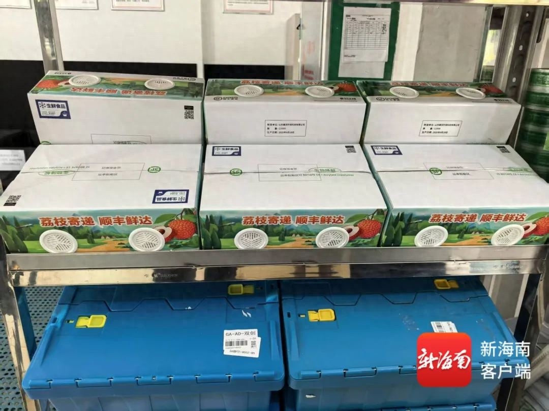 海南顺丰惊现奇特丰调箱！无需冰袋预冷，1万个将投用？